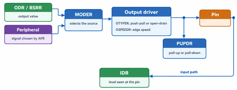 Simplified STM32 GPIO pin circuit showing MODER, output driver, PUPDR, the pin and the IDR input path
